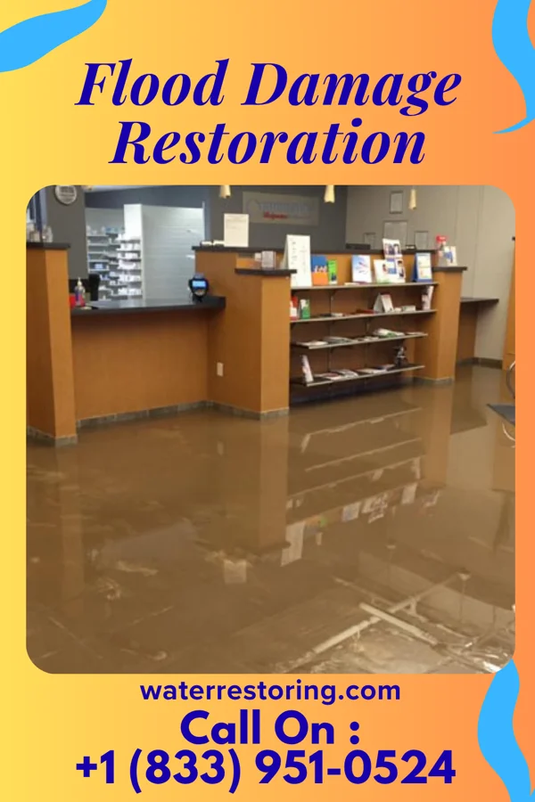 Flood Damage Restoration in Kasson, MN