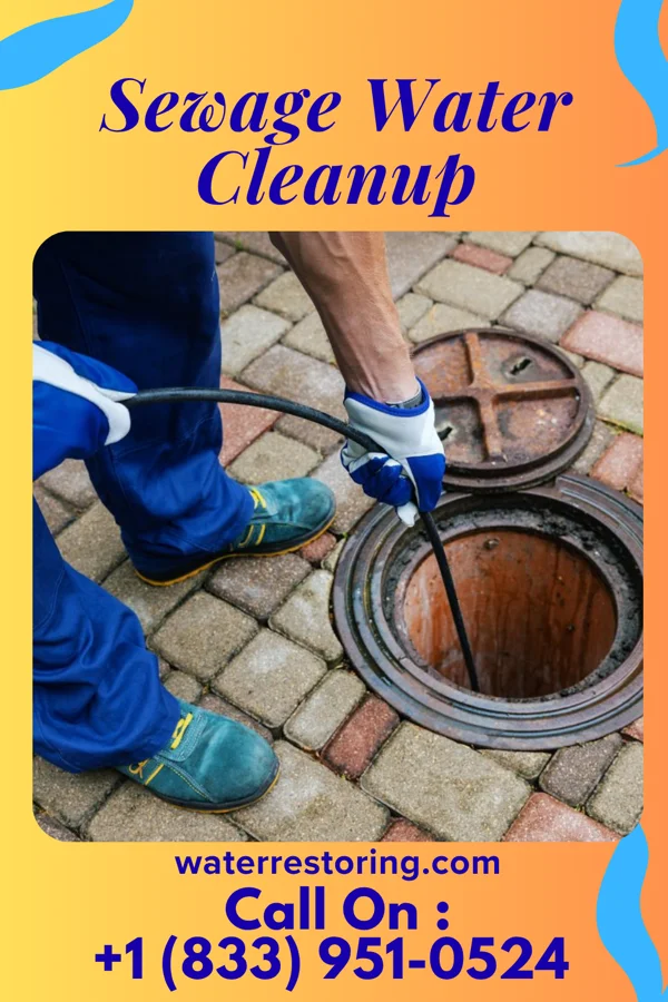 Sewage Water Cleanup in Kasson, MN